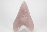 7.4" Realistic, Carved Rose Quartz Megalodon Tooth - Replica - Photo 2